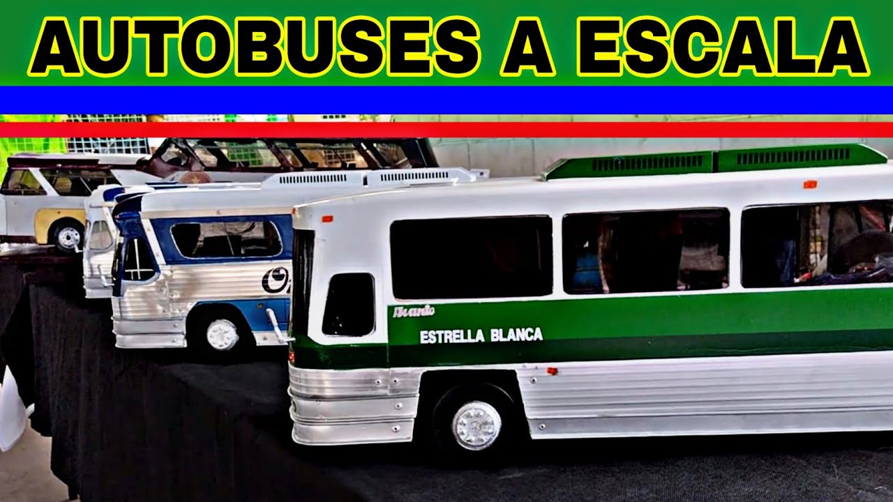 AUTOBUSES A ESCALA PERRISIMOS