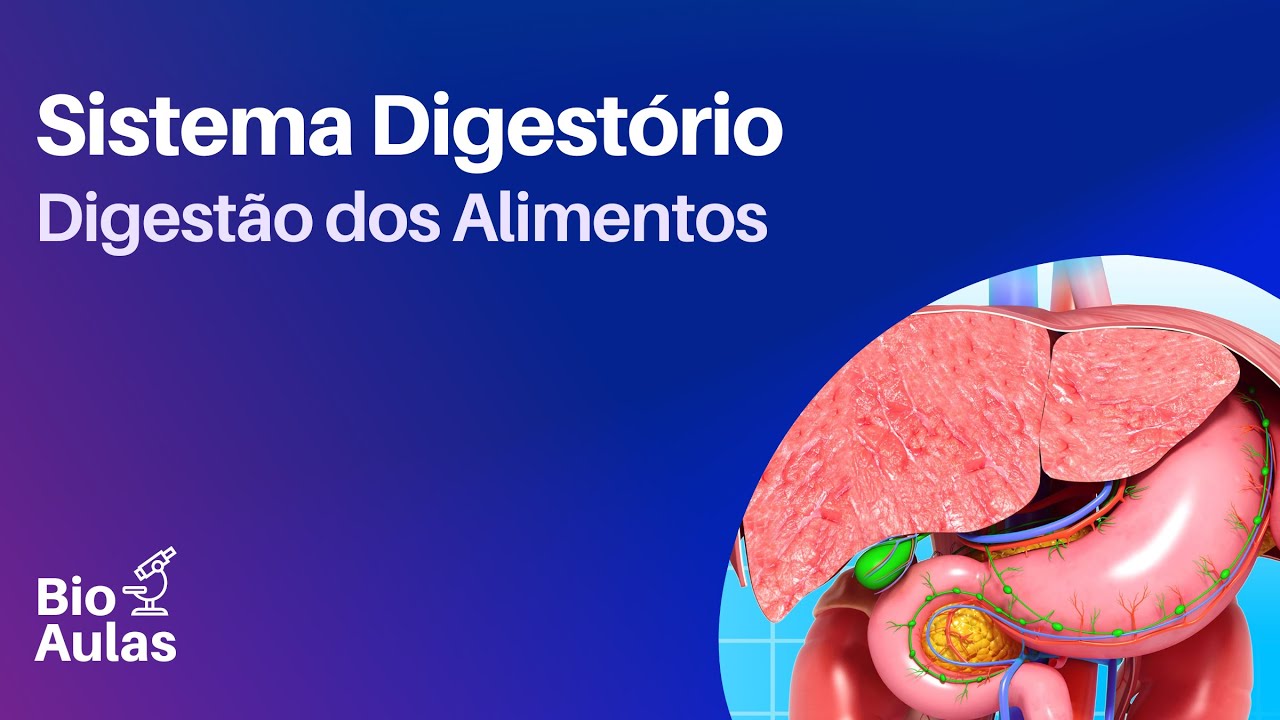 Sistema Digestório - Anatomia e Fisiologia (Bio Aulas)