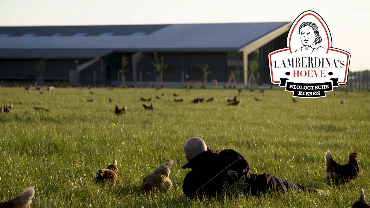 Lamberdina's Hoeve - VOP 2020 Ode aan oma en onze aarde (25 sec)