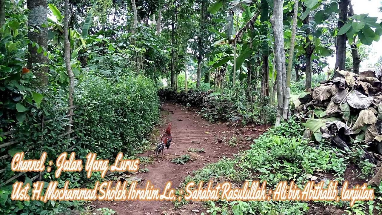 Jalan Yang Lurus : Ust H Mochammad Sholeh Ibrahim Lc : Sahabat Rasulullah Ali bin Abithalib lanjutan