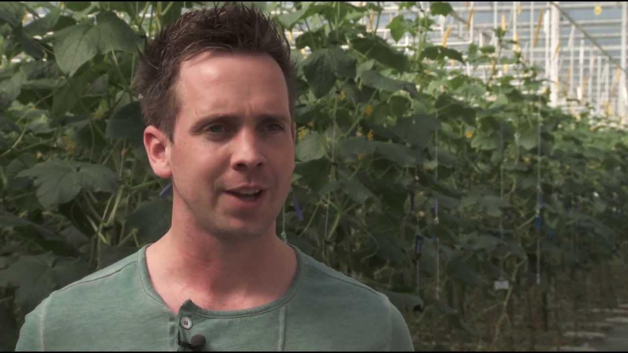 Hortus in Futuro