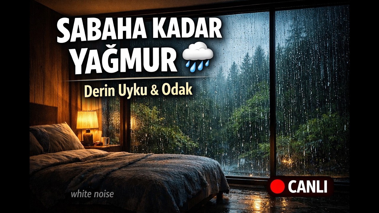 CANLI 🔴 Gece Boyu Yağmur Sesi | Orman Manzaralı Oda 🌧️