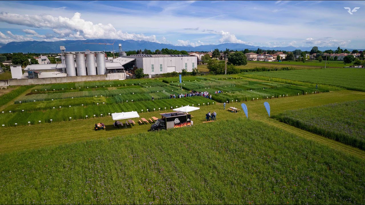 Field Day Foraggere cereali e cover crop, 9 Maggio 2024 - Padana Sementi