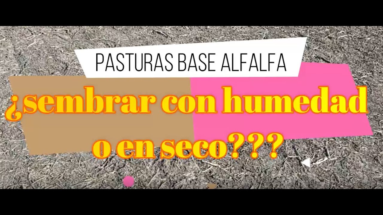 Momento oportuno para sembrar mi pastura ¿con suelo húmedo o seco? solo para suelos vertisoles E.R.
