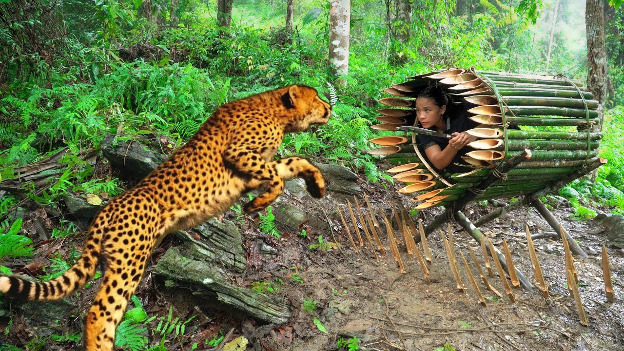 Leopard Surprise Attack – Crafting Circle Spike Traps and Ferocious Wild Boar Traps. survival skills