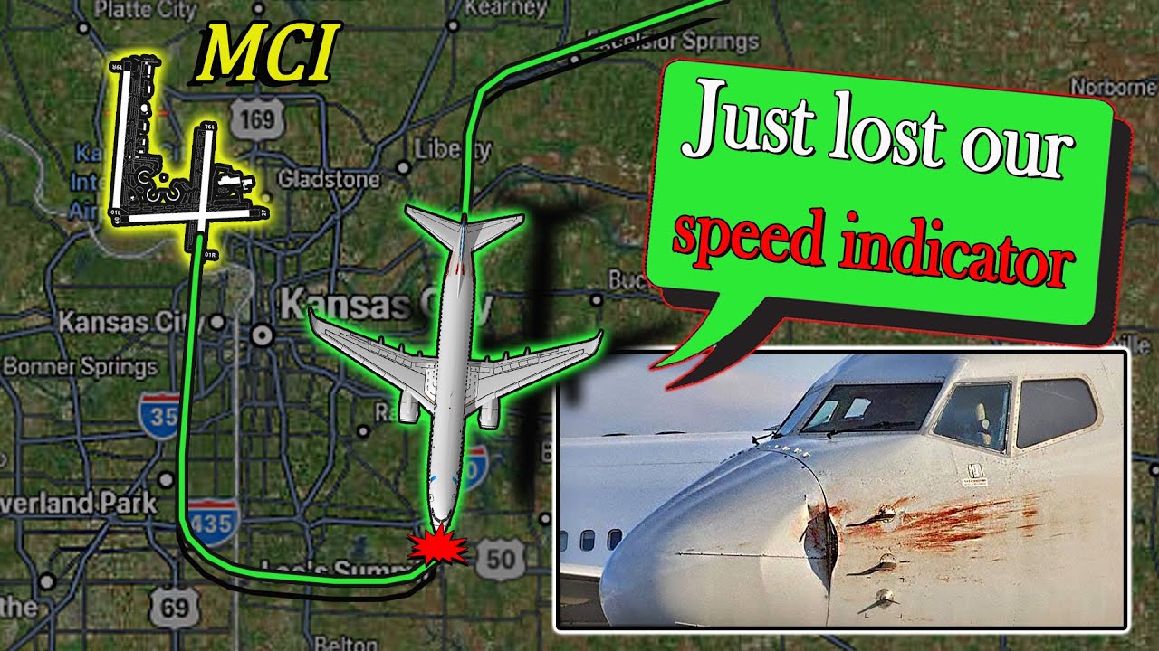 American B737 | BIRD STRIKE + DAMAGE ON NOSE & WINGS