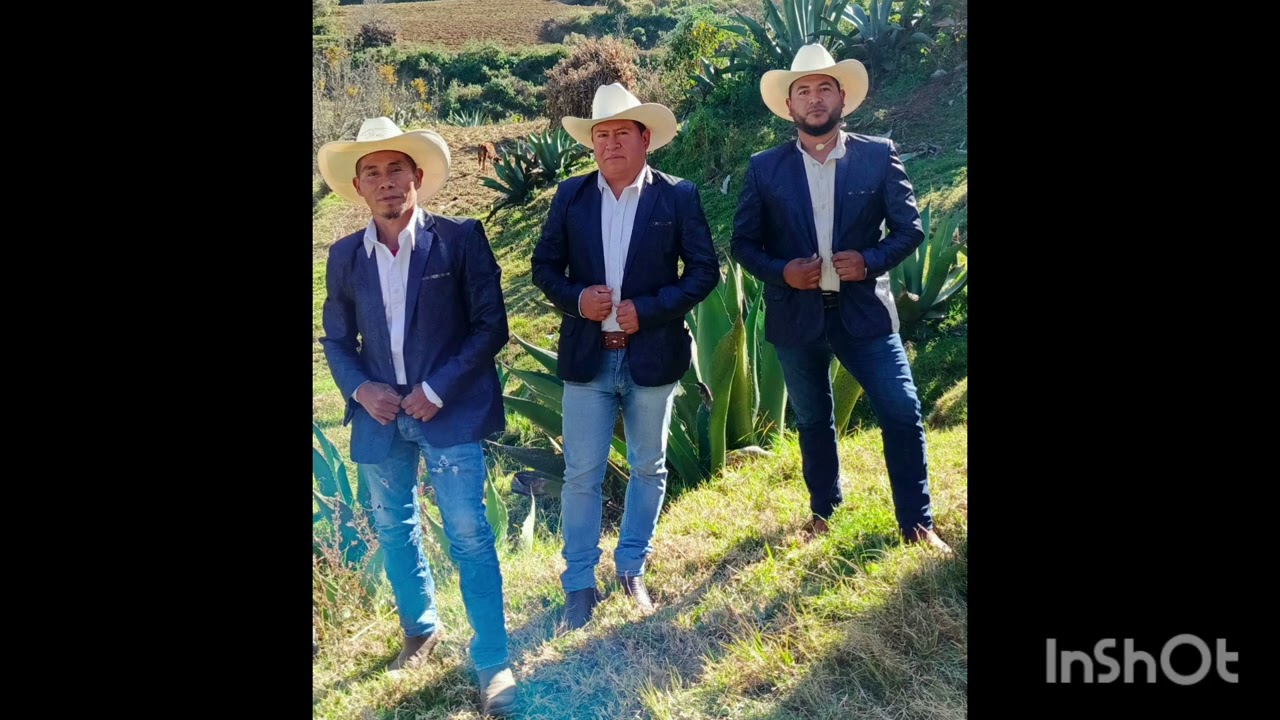Noches eternas 