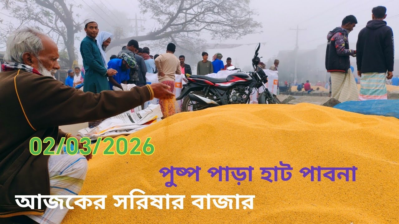 2 March 2026 আজকের সরিষার বাজার দর। পুষ্প পাড়া হাট আতাইকুলা পাবনা থেকে। সরিষার হাট বাজার দর 