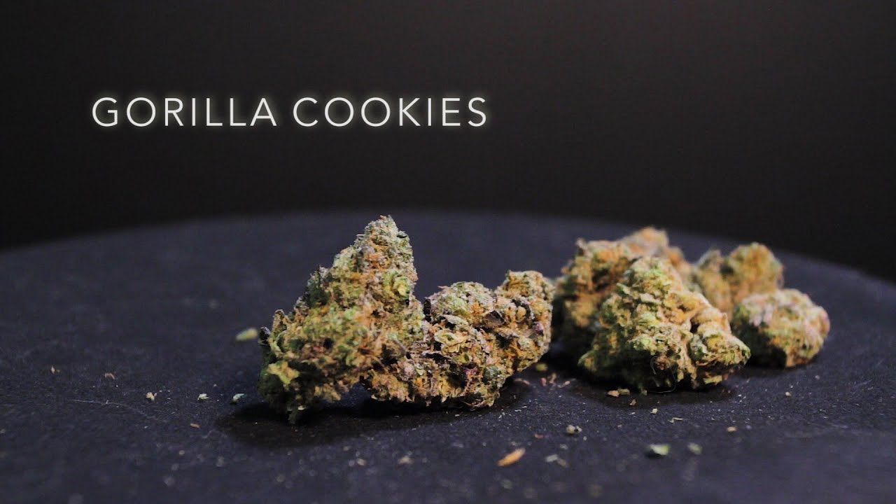 Gorilla Cookies | Strain Review | Nightly Bud