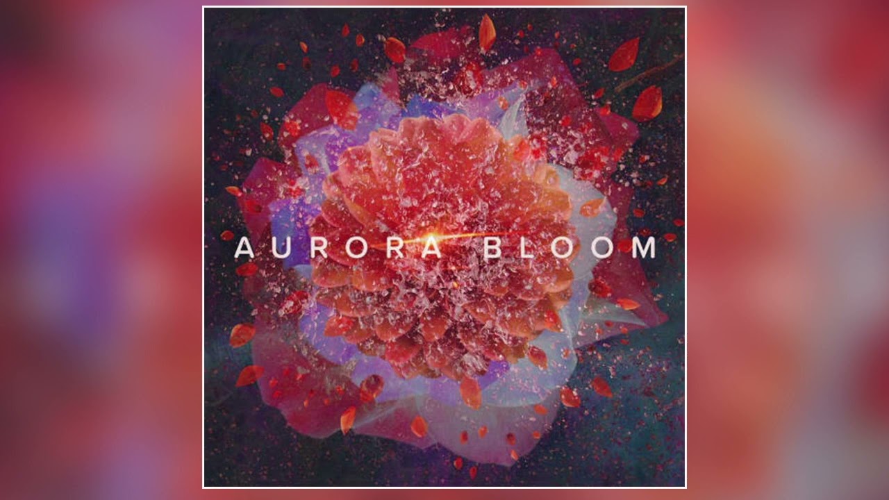 Aurora Bloom- 