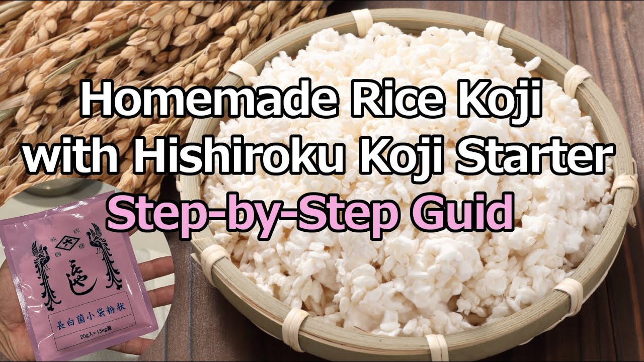 【3days】Homemade Rice Koji with Hishiroku Koji Starter  Step-by-Step Guide