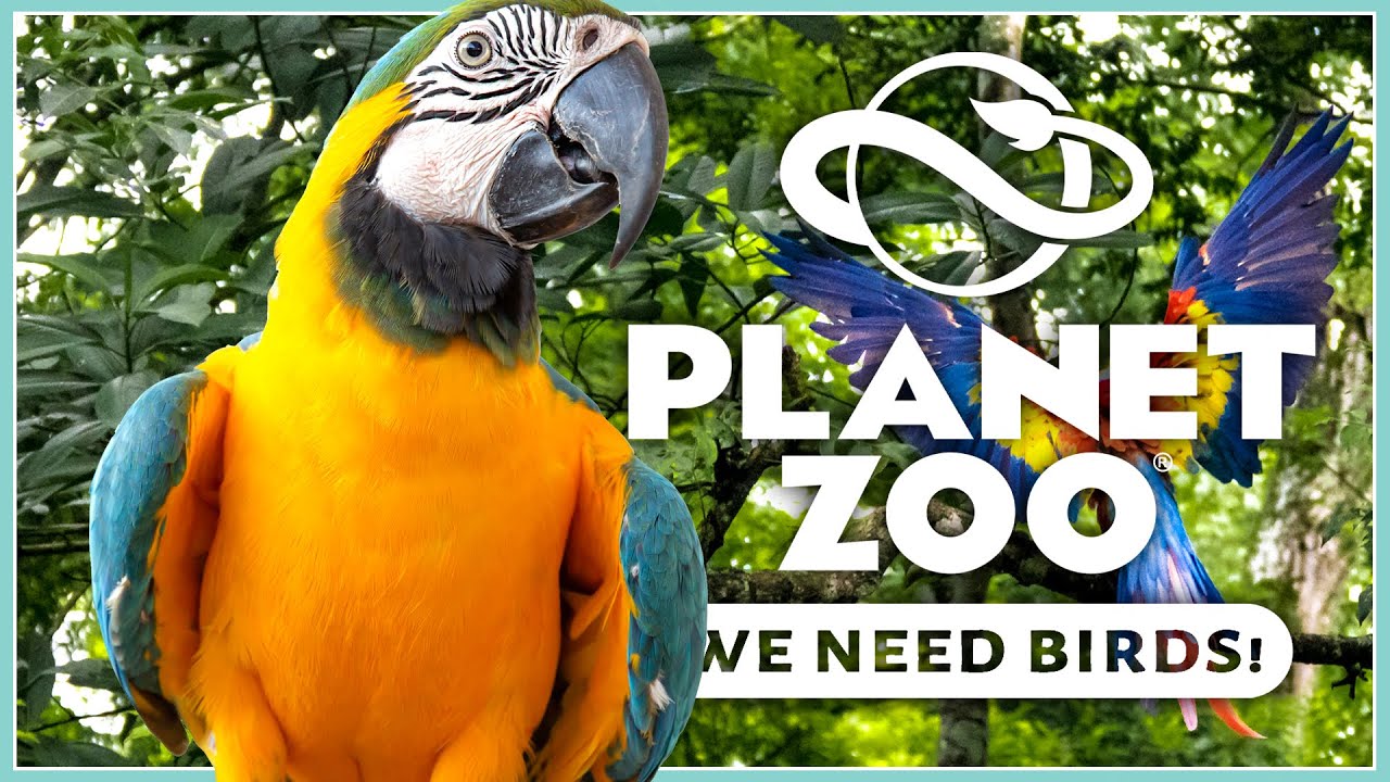 We Need These Ten Species! | Planet Zoo 2023 Animal Wishlist