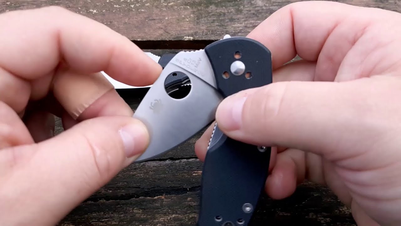 Nagyratörő kis pók Spyderco Ambitious