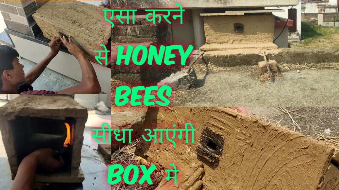 मधुमक्खिया 2 दिनों मे आजाएंगी  Log Hive को setup करने का पूरा तरीका ।