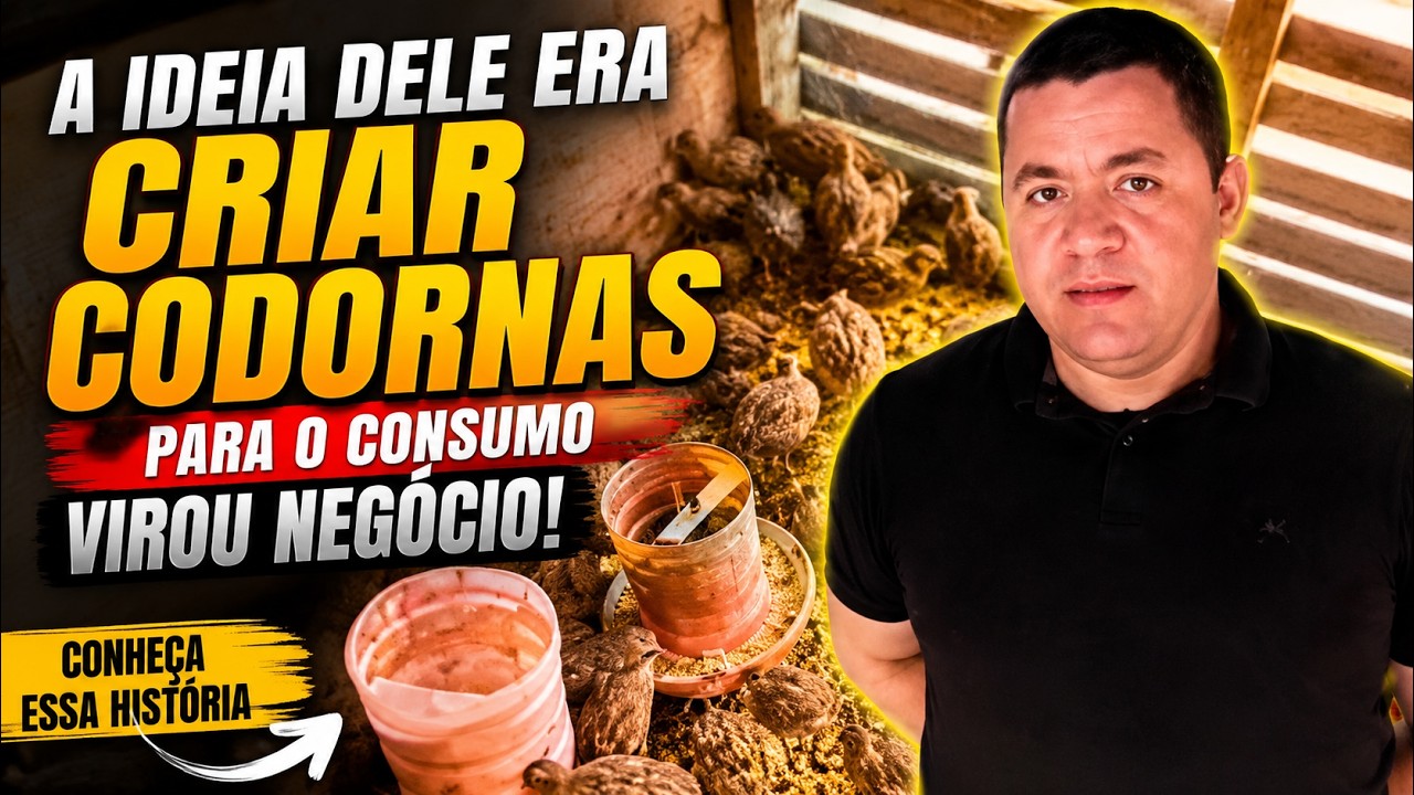 A ideia dele era criar CODORNAS para o consumo, virou NEGÓCIO em um piscar de olhos