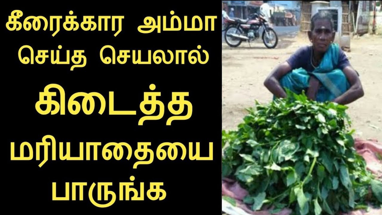 கீரைக்காரம்மா செய்த காரியத்தால் கிடைத்த மரியாதையை பாருங்க/பணக்கார கீரைக்கார அம்மா/panchumethai 