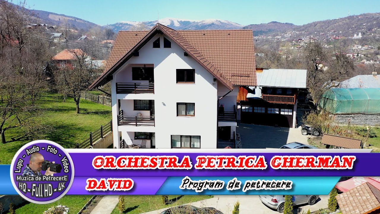Orchestra Petrica Gherman - David - Talea - Program de petrecere