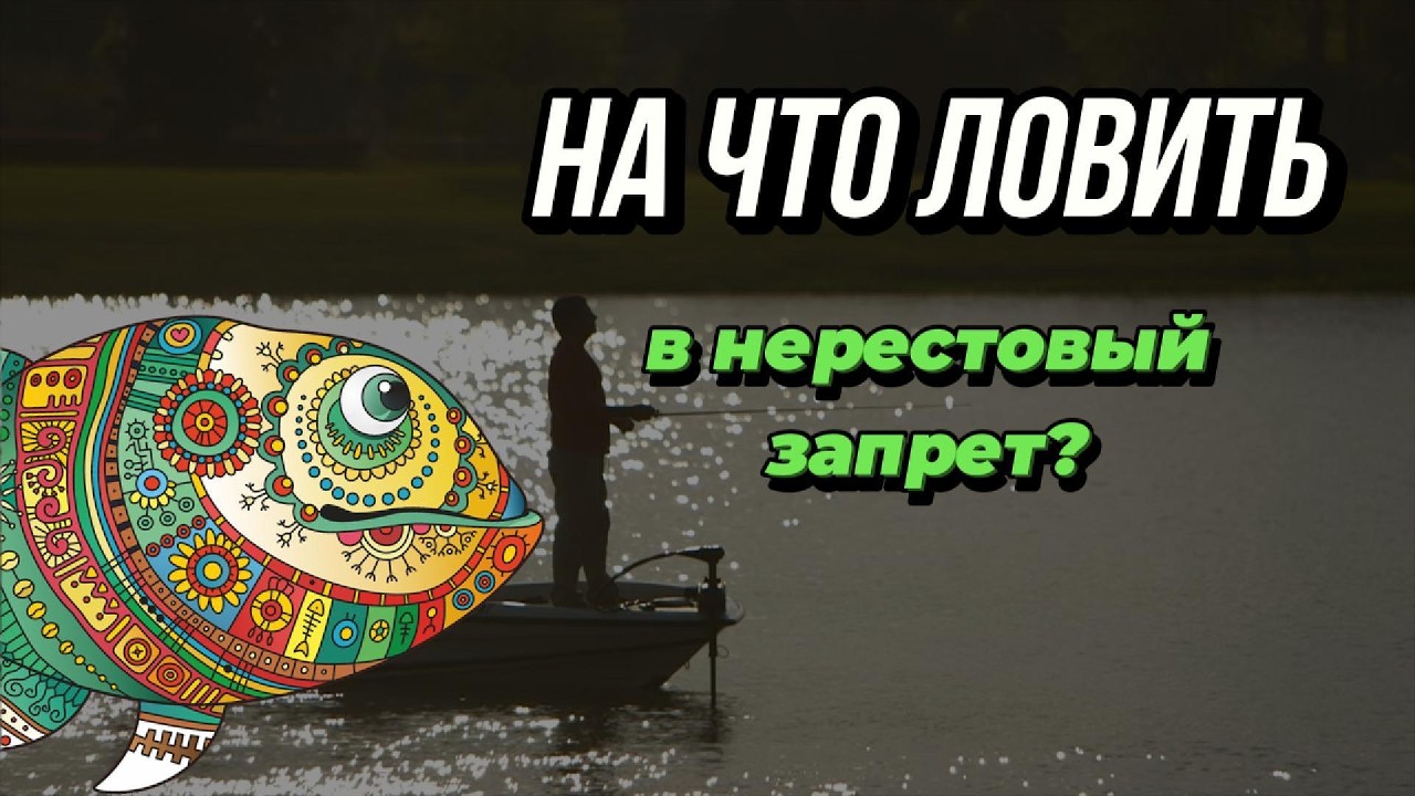 Чем ловить, когда спиннинг под запретом? Болонское удилище &mdash; разбор от Fmagazin