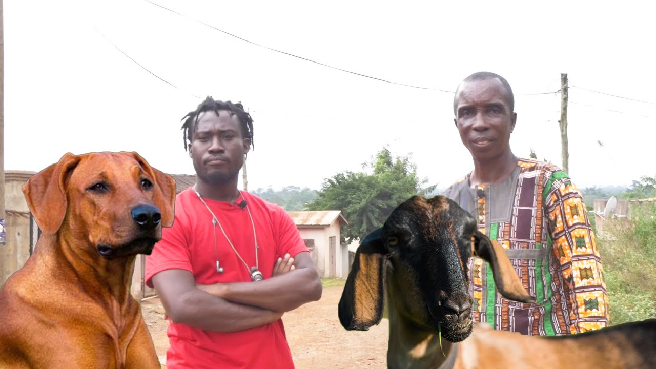 The Strange Ghana Town With No Dogs And Goats (Abomination)