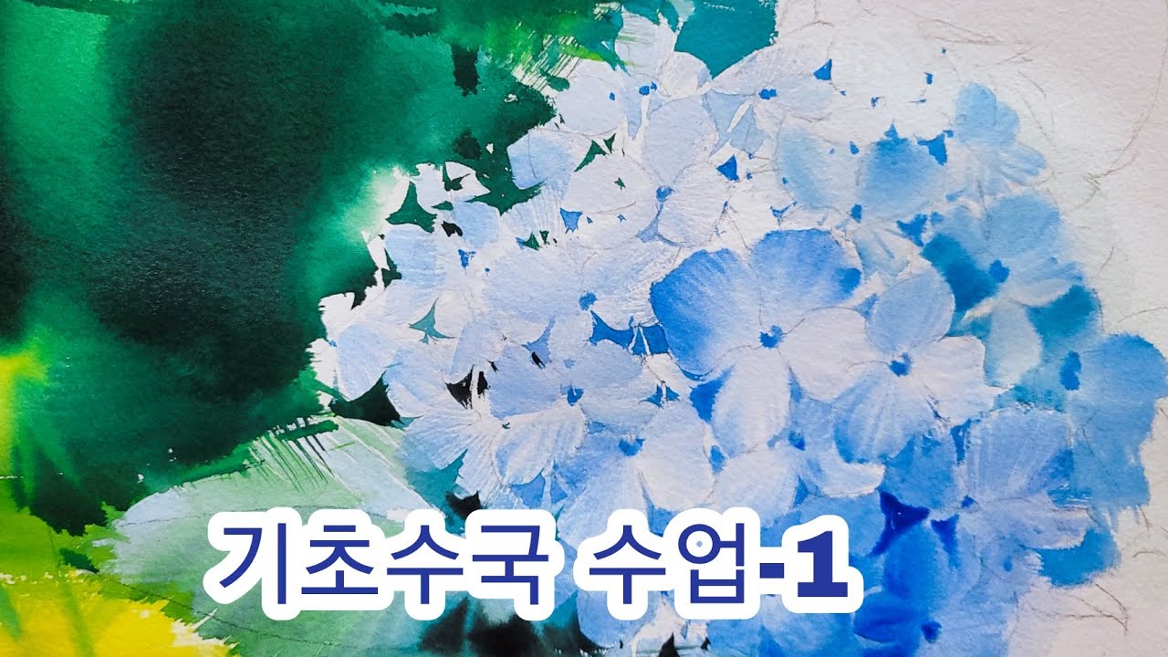 기초수국 양감 표현