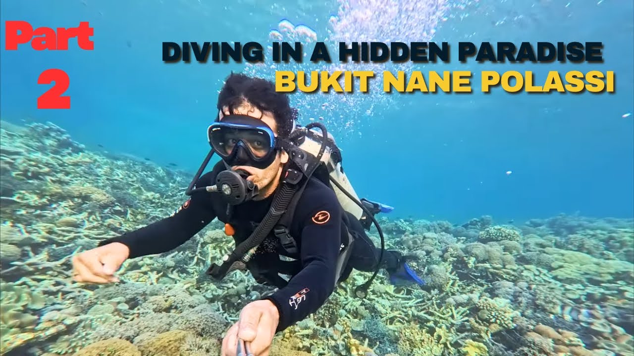 Solo Camping & Explore,Dive & Cook Delicious meal | Selayar Island Indonesia. Episode 3 part 2 