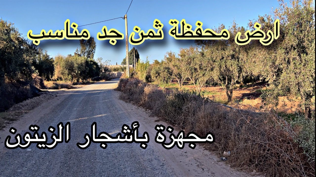 ارض للبيع في مراكش محفظة ثمن مناسب