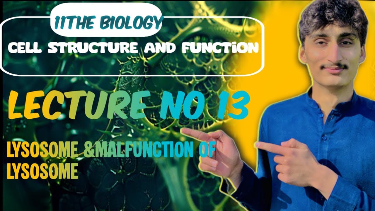 Lecture No 13 LYSOSOME AND MALFUNCTION OF LYSOSOME