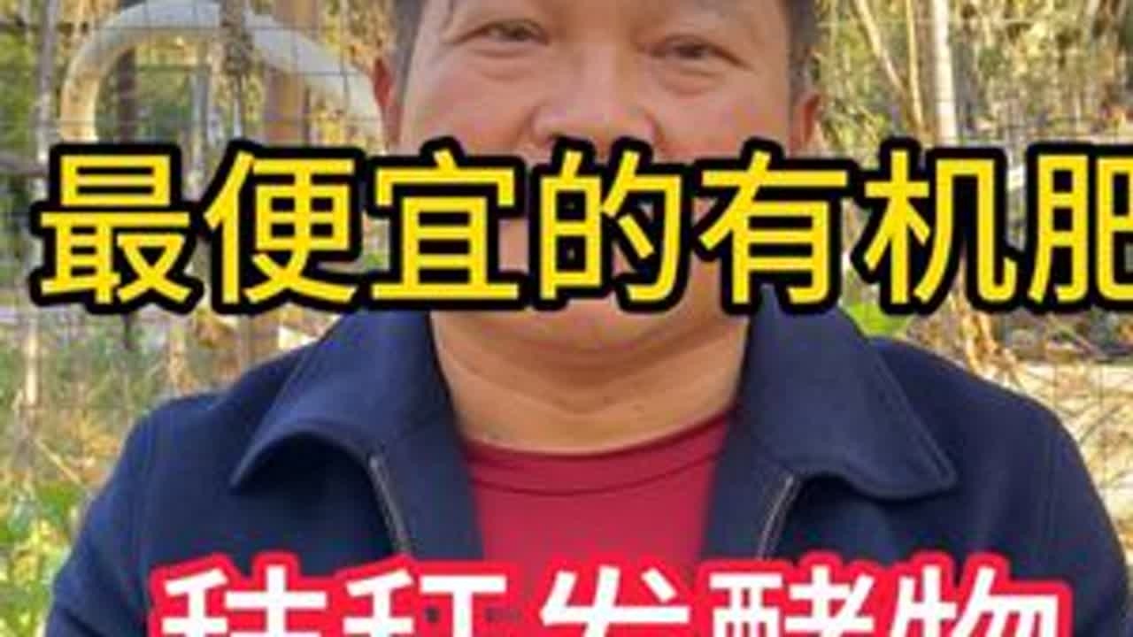最便宜的有机肥，秸秆发酵物#三农 #农业 #有机肥 #秸秆 #种植小技巧