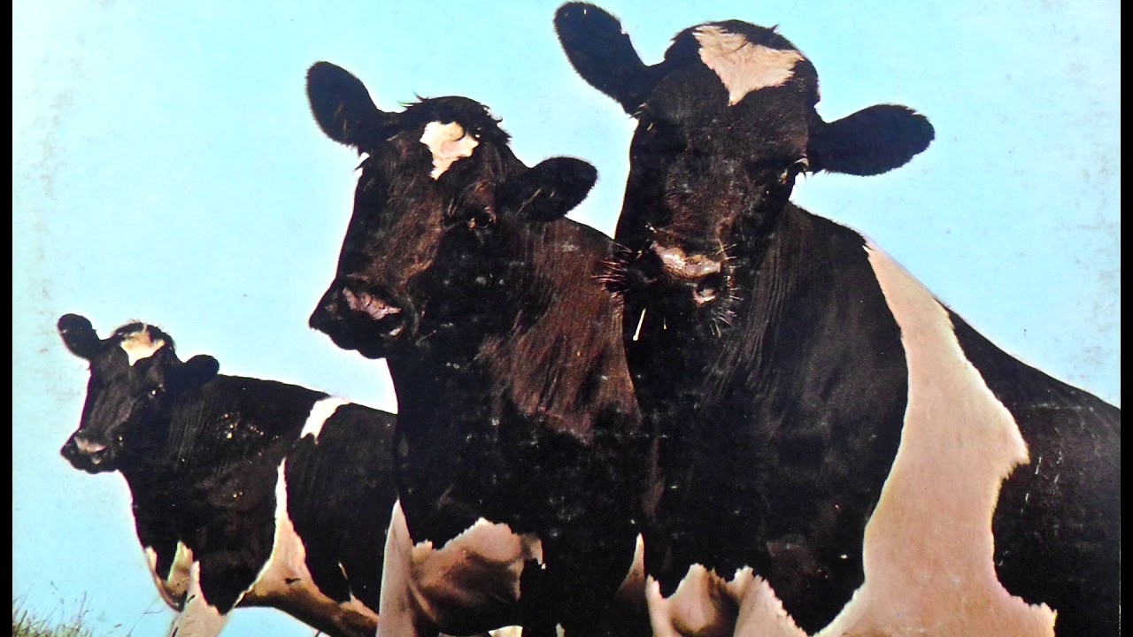 Pink Floyd - Atom Heart Mother Short Mix