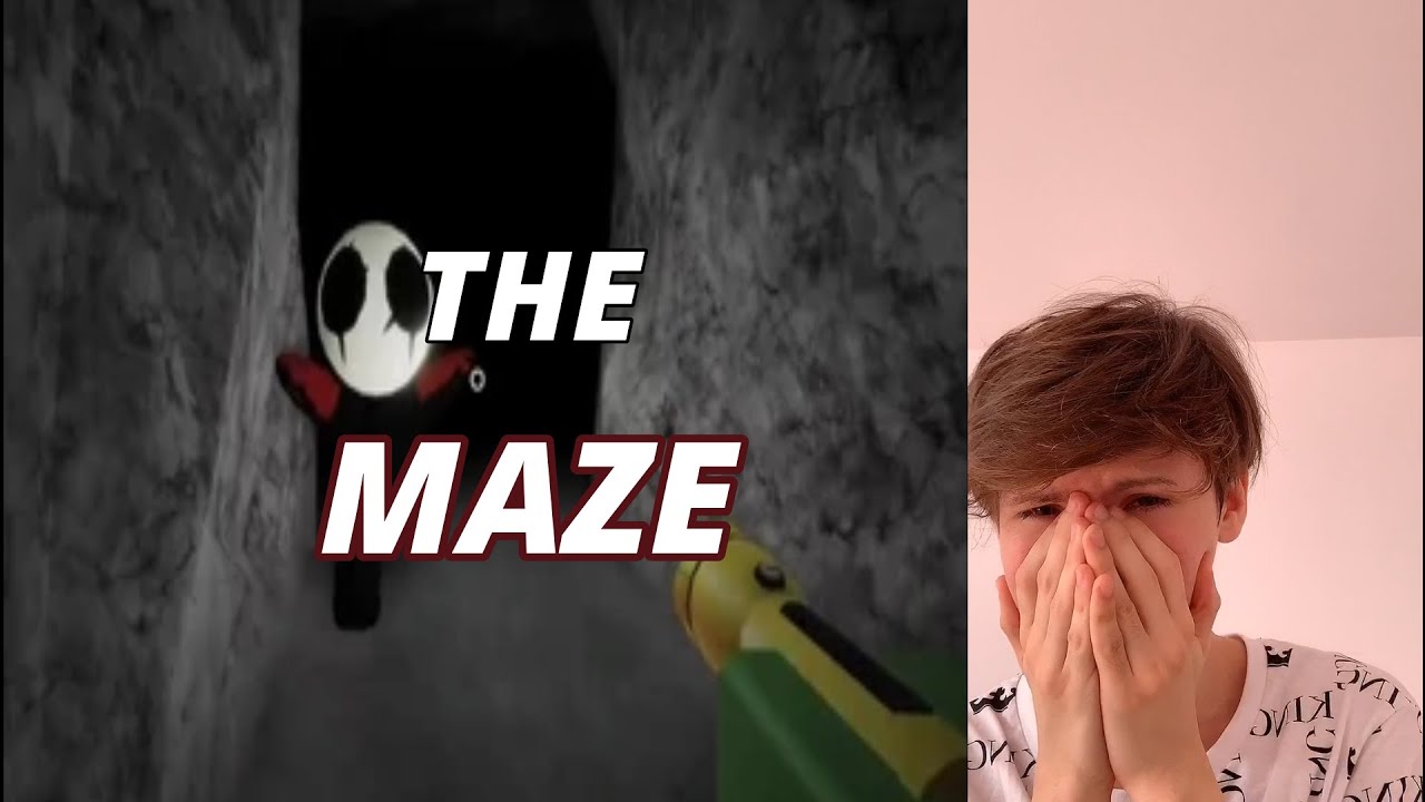 ROBLOX THE MAZE - DOBIO SRCANI UDAR 😰