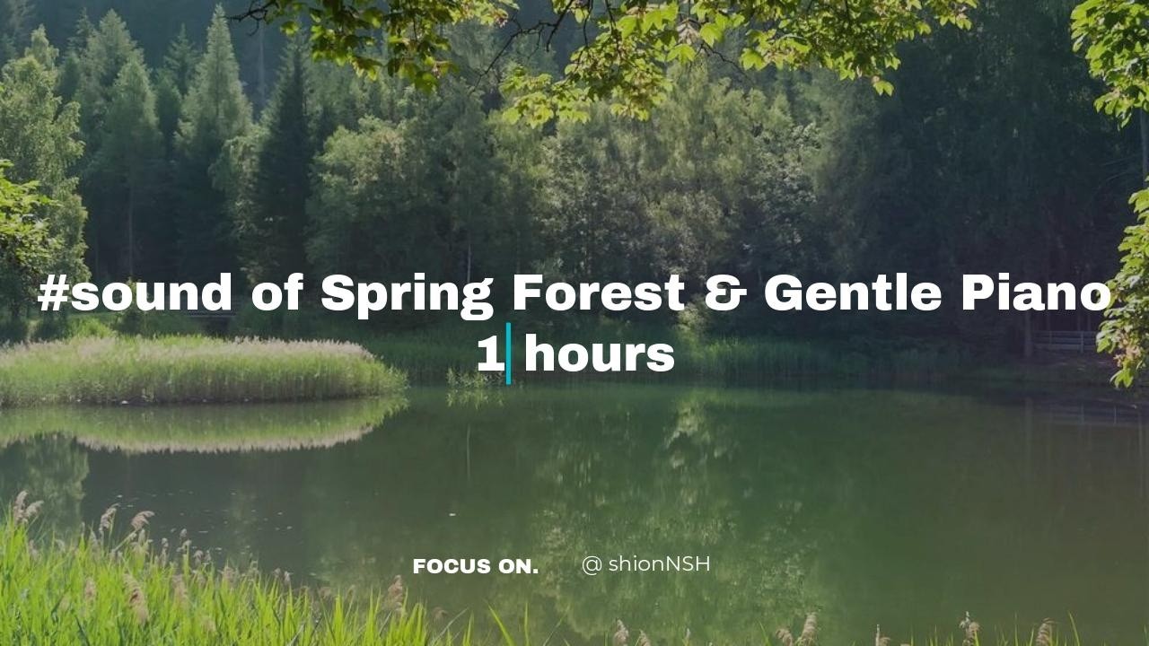 【1時間】春の森の音とピアノ｜Spring Forest & Piano for Relaxation