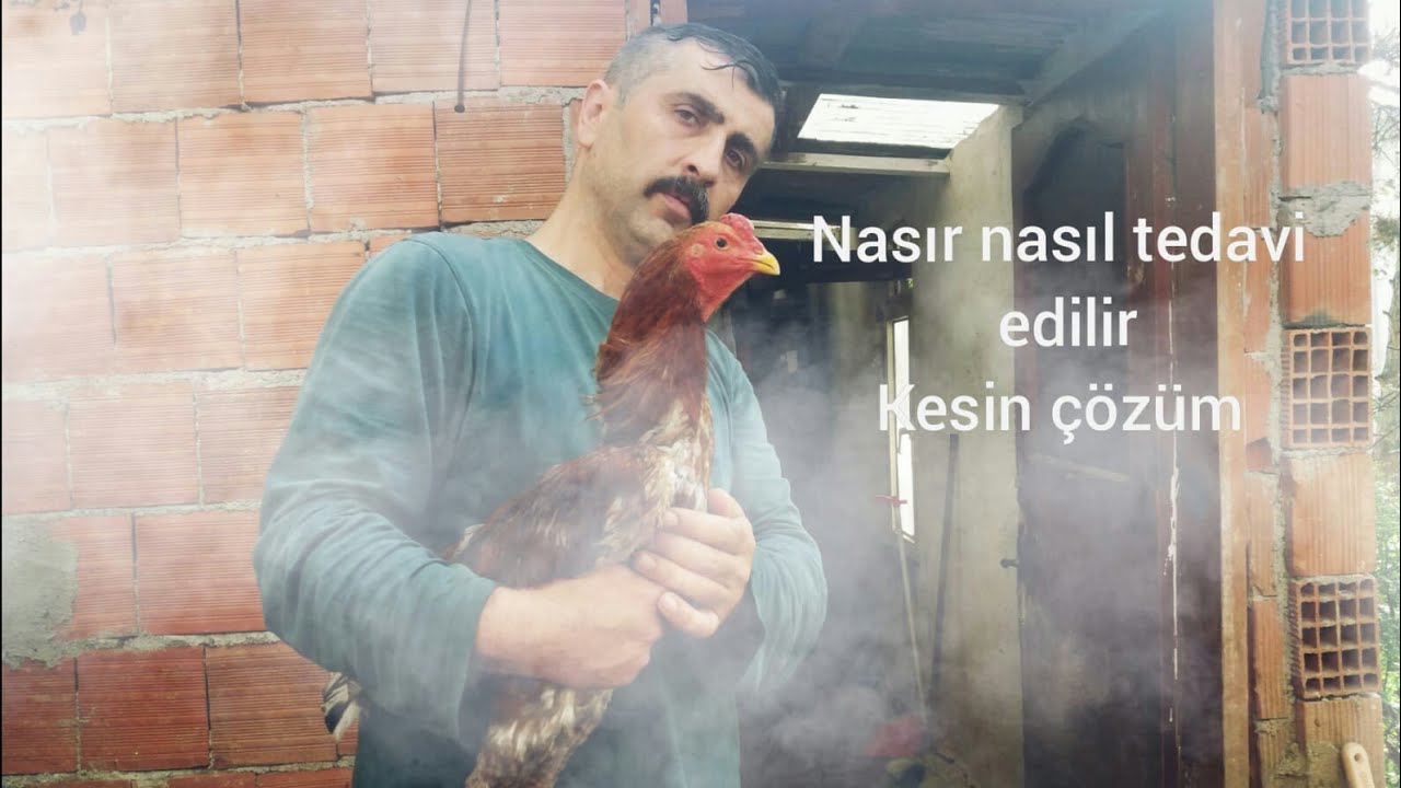 # 21 #NASIR TEDAVİSİ VE KESİN ÇÖZÜMÜ
