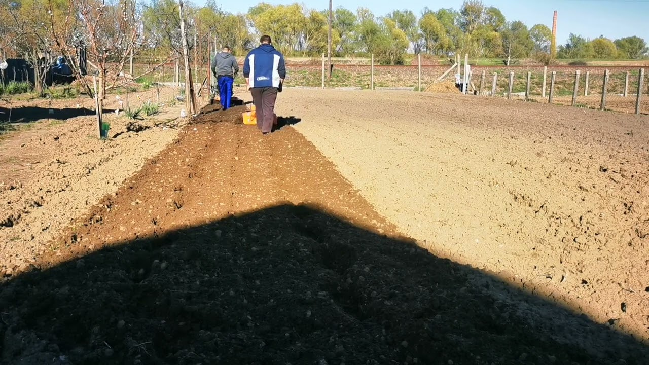 Ruris dac 6000k és 7000k. Egy elmaradt videó.😉