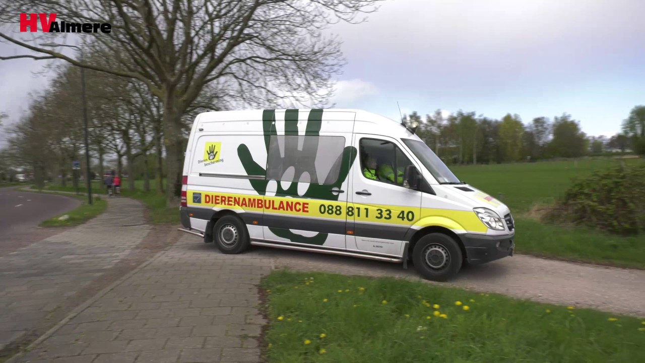 Reportage: Mee met de dierenambulance - Deel 2