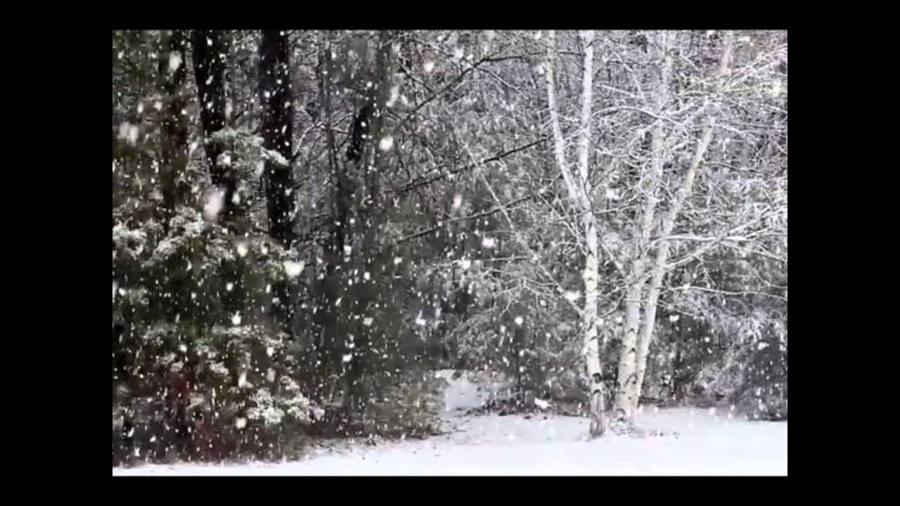 Хэрэв намайг (Чука) Чинбаа - Цагаан ба Хар цомог HERVEE NAMAIG Chimba - White and black