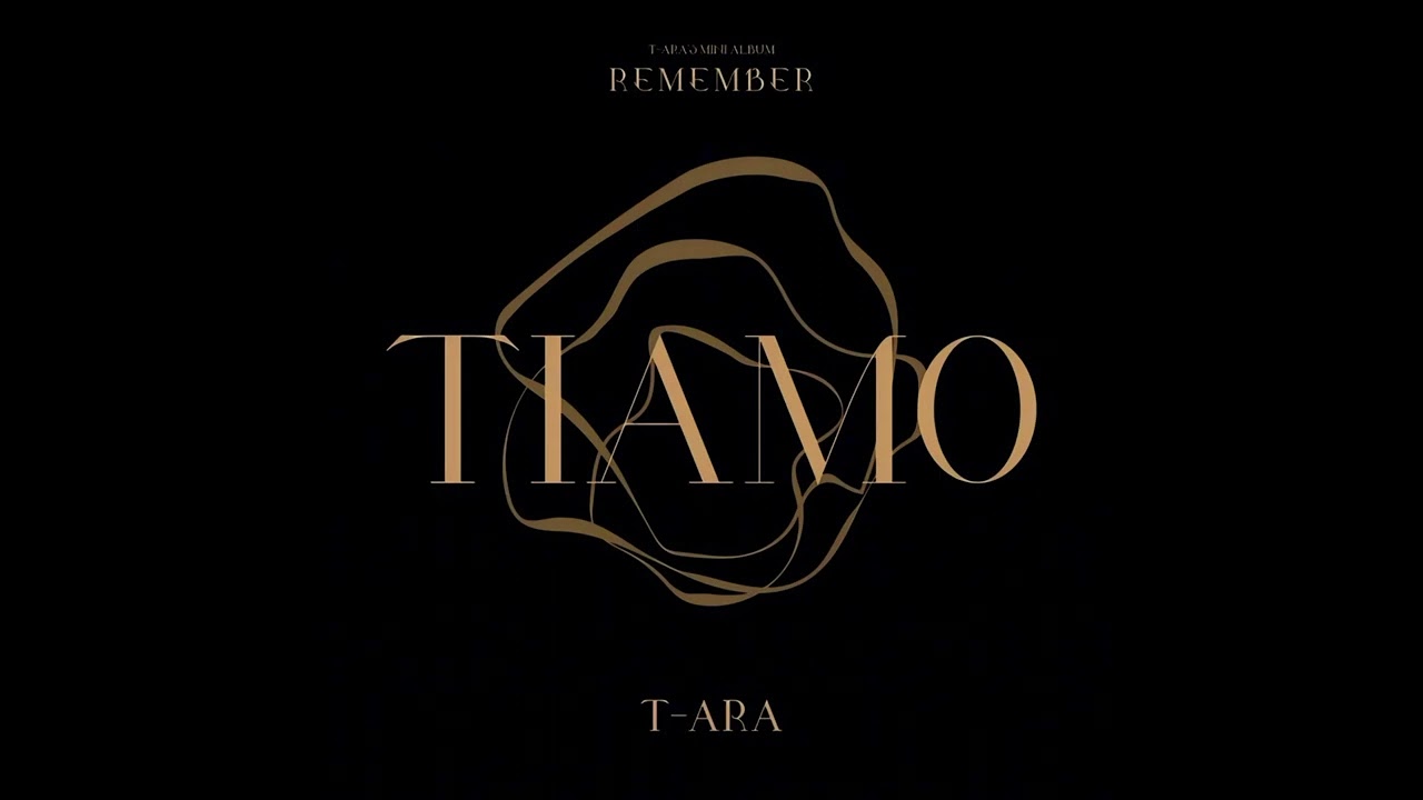 오늘까지만 아파할 거야 - T-ara inst.