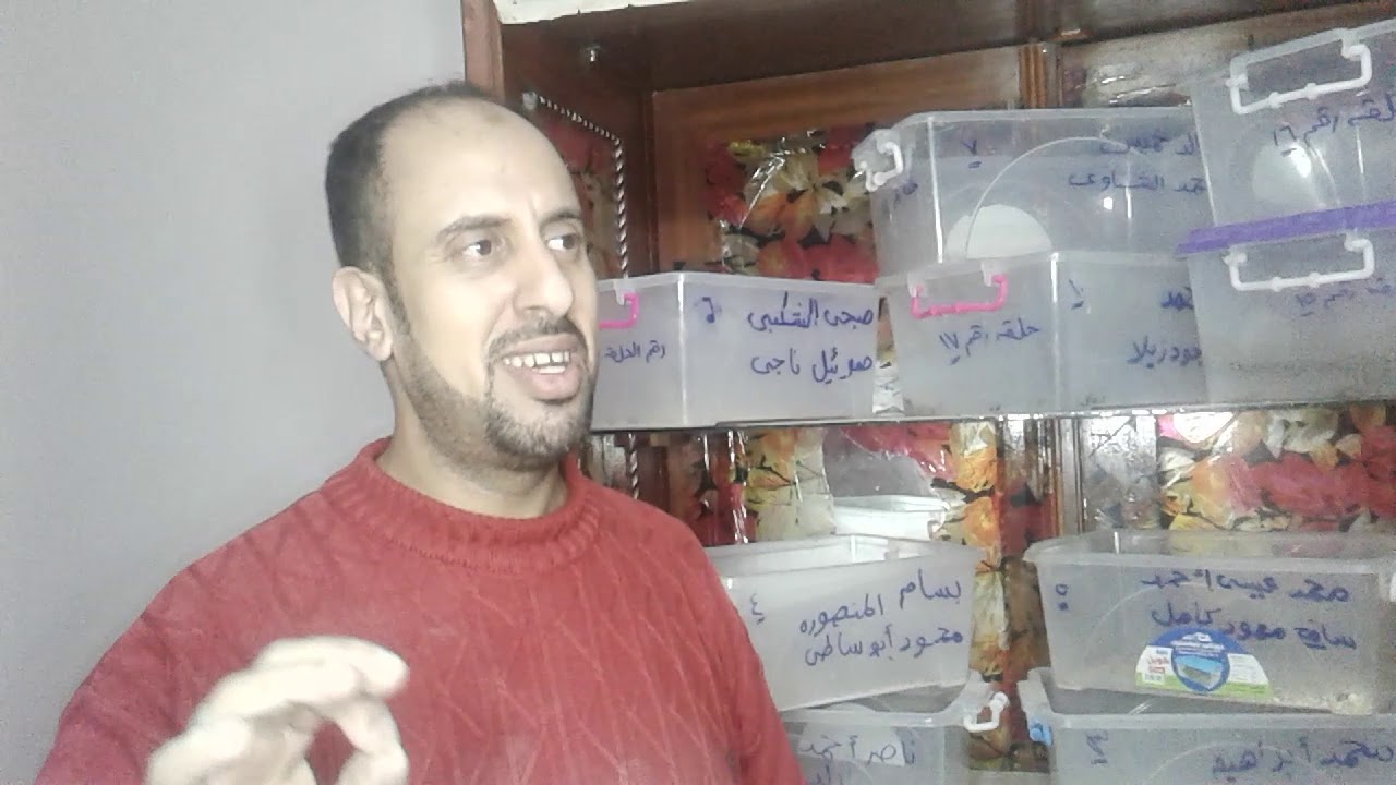 الميل_ ورم#دود_ القبابى#الحلقه رقم13وليه01284434190 مربح جدا