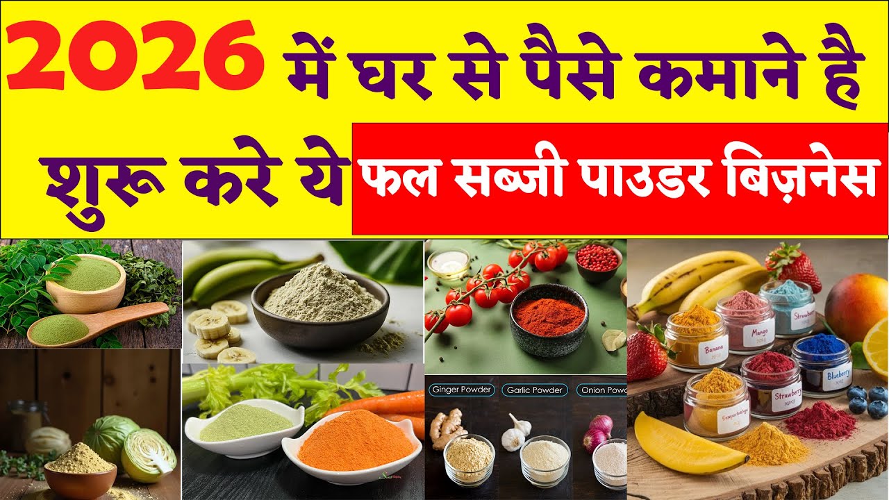 Phal Aur Sabzi Powder Business | Food Processing Business Ideas 2026 | Small Business #business