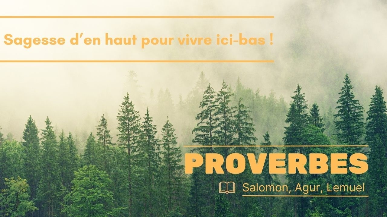#2 : La sagesse qui délivre des méchants