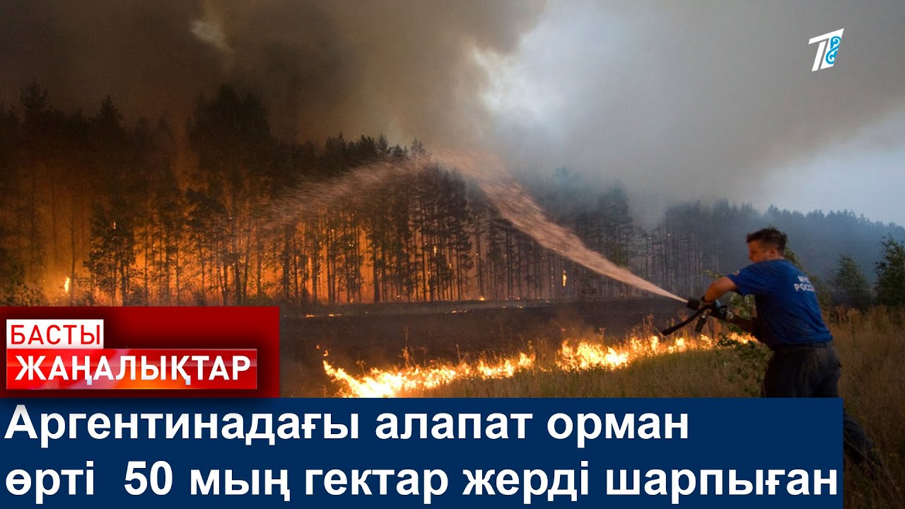 Аргентинадағы алапат орман өрті  50 мың гектар жерді шарпыған