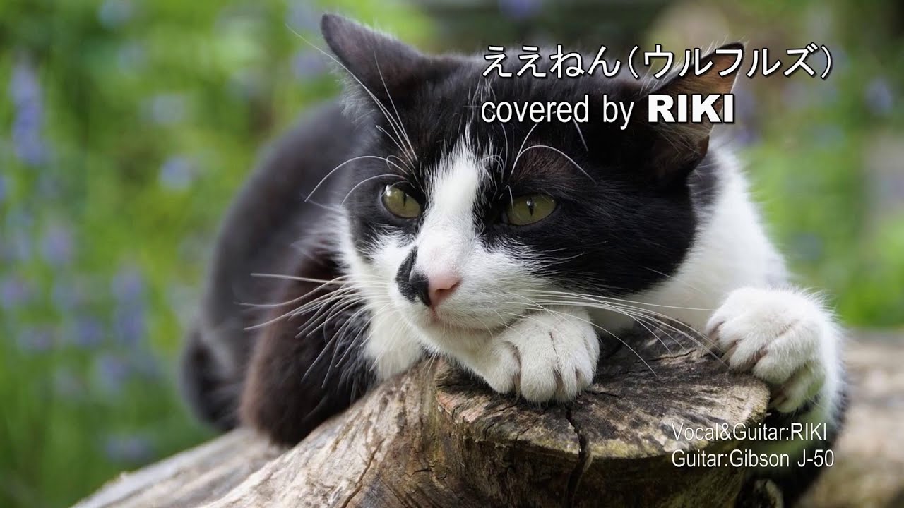 ええねん（ウルフルズ） covered by RIKI
