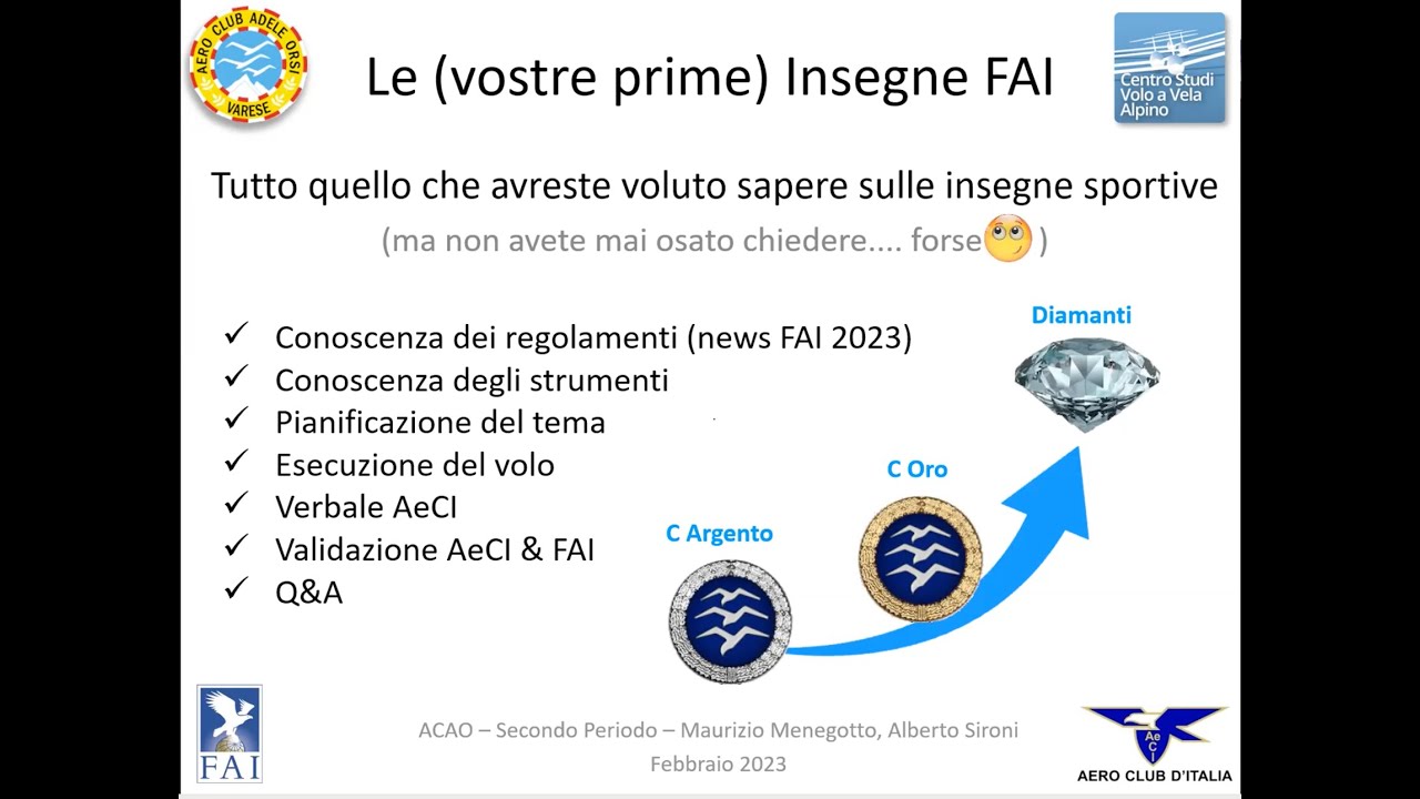 Dall'Argento ai Diamanti - Le insegne sportive FAI nel volo in aliante (in italiano)