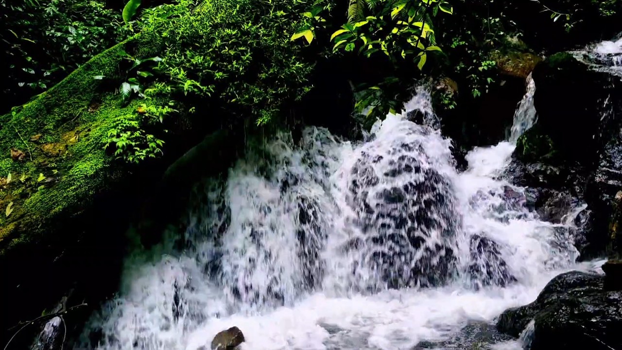 Peaceful River Stream  Gentle Flow Night Ambience