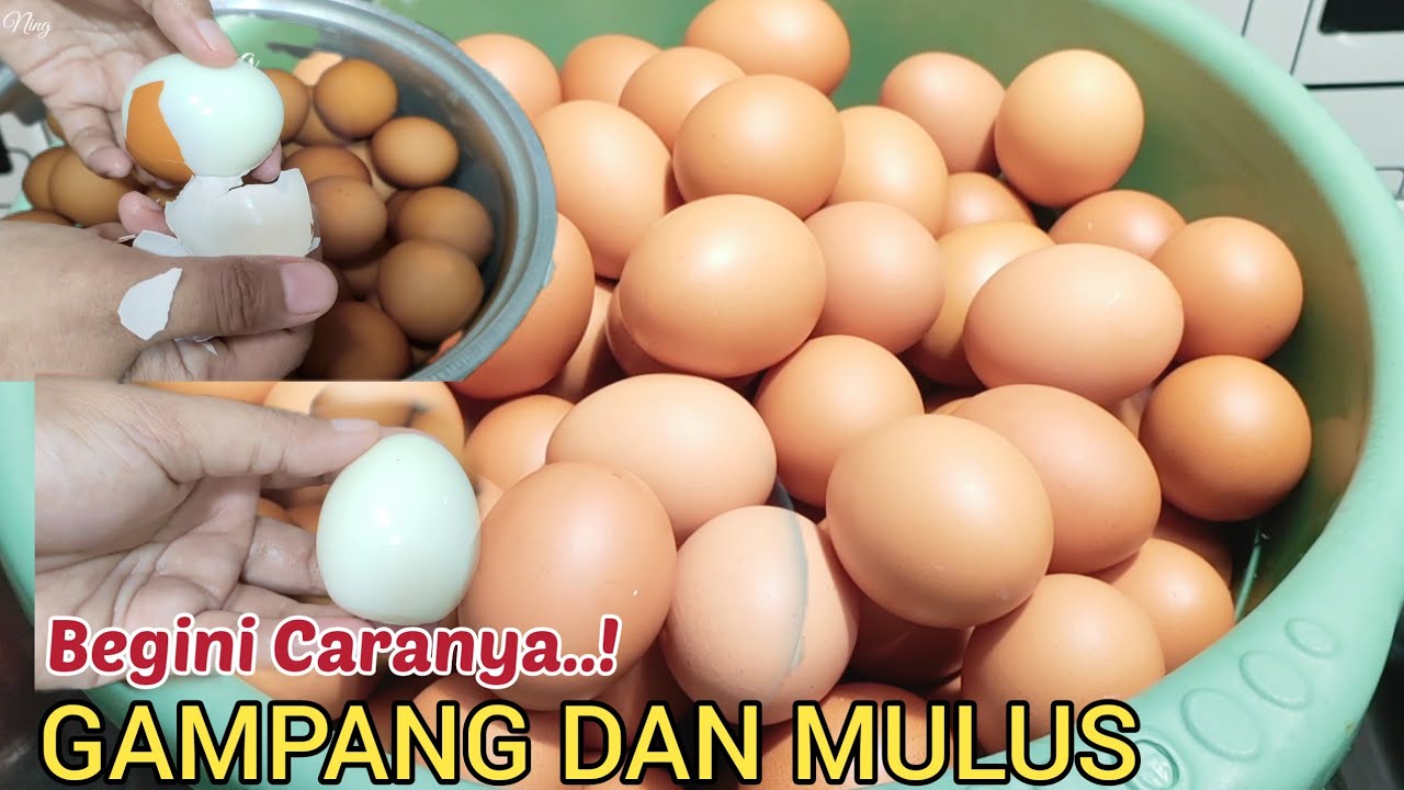 TIPS CARA MEREBUS TELUR AGAR MUDAH DIKUPAS DAN TIDAK PECAH | BEGINI CARA MEREBUS TELUR JUMLAH BANYAK