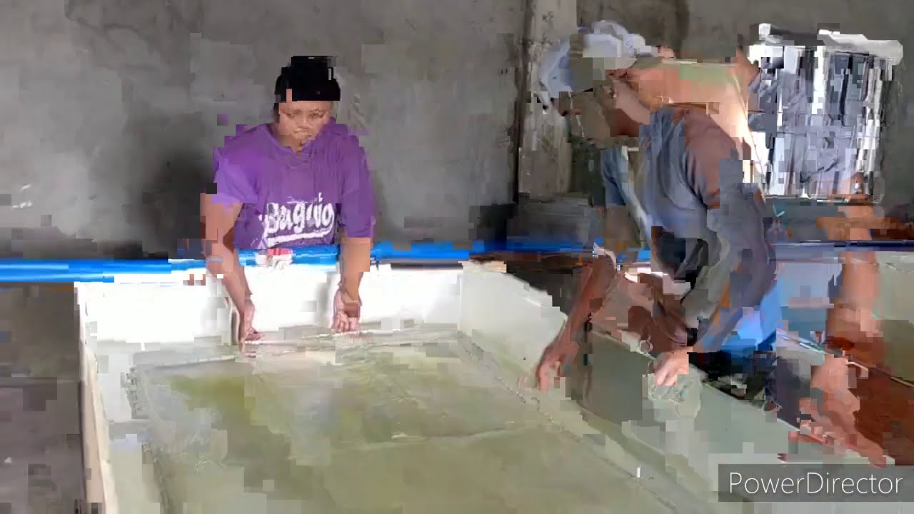 Hito