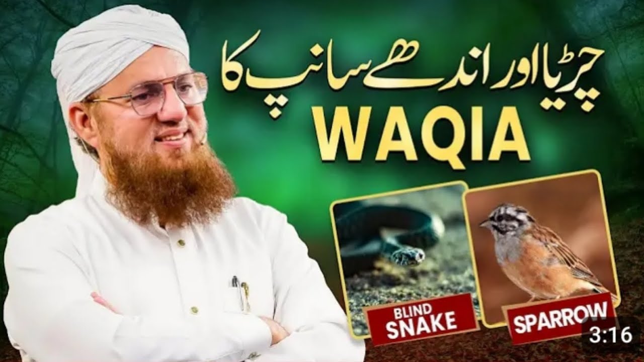 Chirya Aur Andhe Sanp Ka Waqia | Daku Ki Tauba | Allah Par Tawakkul | Abdul