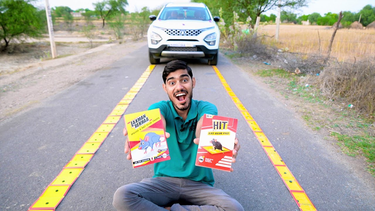 My New Car VS 50 Rat Glue Traps | क्या ये गाडी को चिपका देंगे?