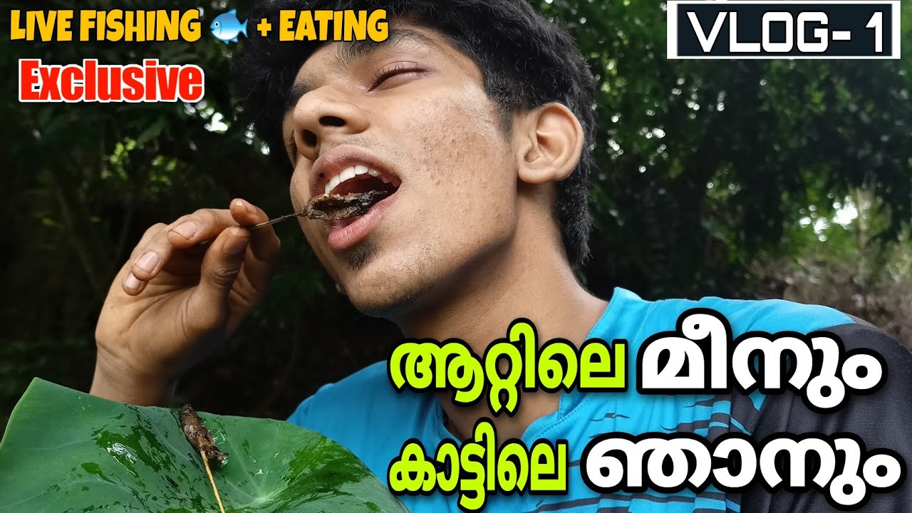 Kerala River Fishing : live fish catching and cook