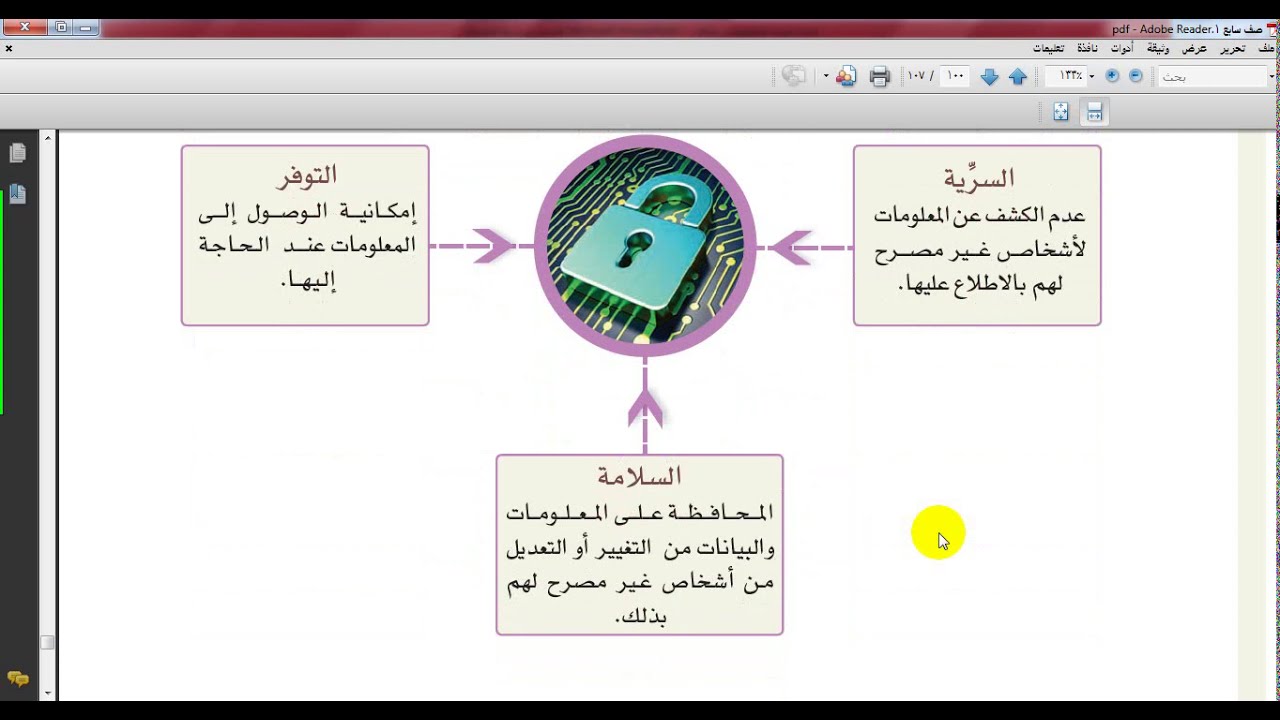 أمن المعلومات