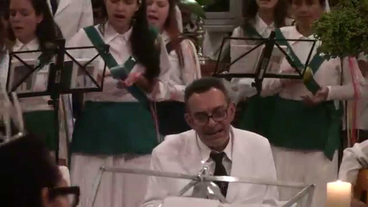 FLOR DE JASMIM e ABELHINHA - F.DE JAGUBE - P.ALFREDO